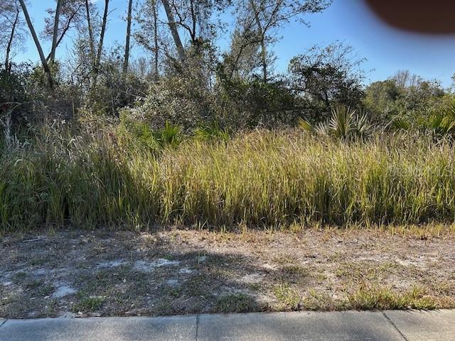 DELTONA LAKES UNIT 19 - Land