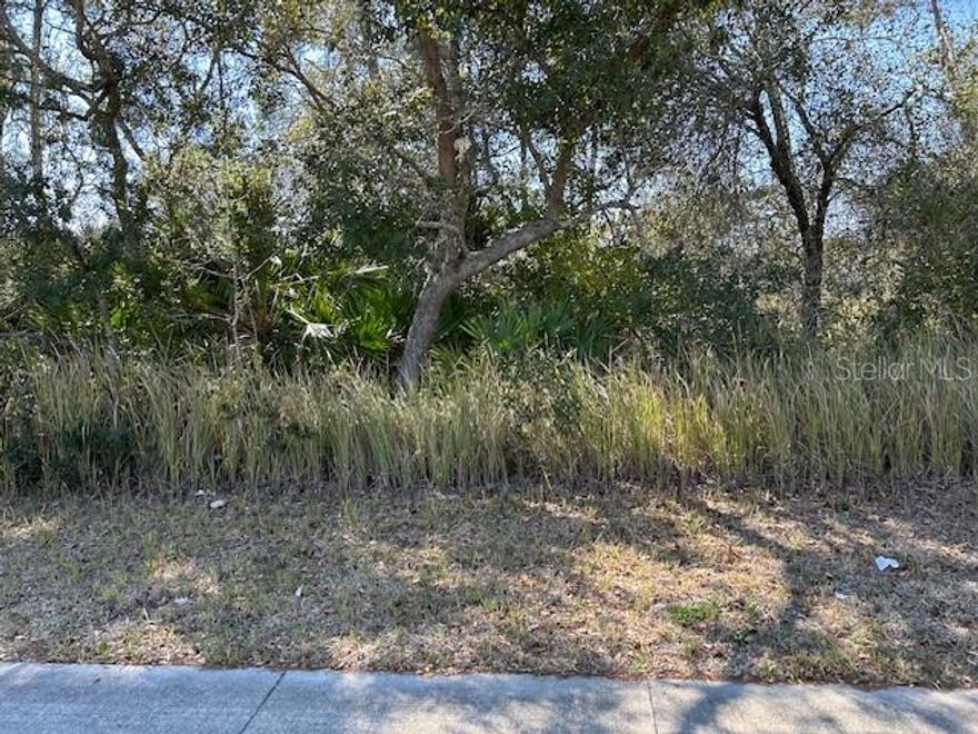JUST REDUCED $40,000!!!.  SELLER SAYS BRING OFFERS!!!.  DON'T MISS THIS OPPORTUNITY TO OWN AN OVERSIZED COMMERCIAL LOT OVER .75 ACRES IN GROWING AREA OF DELTONA.  CORNER LOT DIRECTLY ACROSS FROM DOLLAR GENERAL STORE.  PROPERTY IS ZONED C-1 GENERAL COMMERCIAL WITH MANY USES BOTH RETAIL AND OFFICE.  IF YOU HAVE BEEN LOOKING FOR A GREAT INVESTMENT, LOOK NO FURTHER!!! CALL TODAY