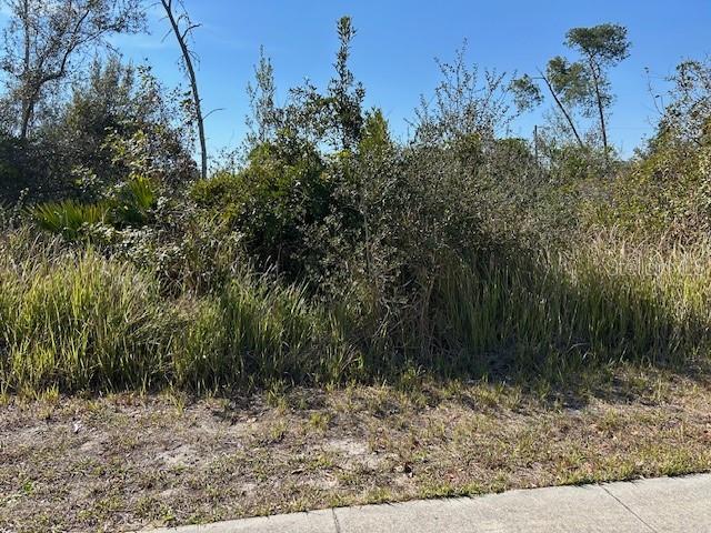 DELTONA LAKES UNIT 19 - Land
