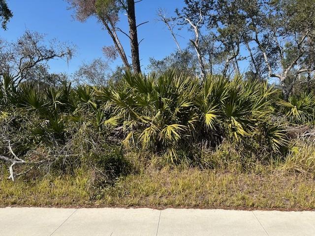 DELTONA LAKES UNIT 19 - Land