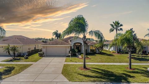 Photo of 1751 Lakestone Drive, Trinity, FL 34655 (MLS # W7883363)