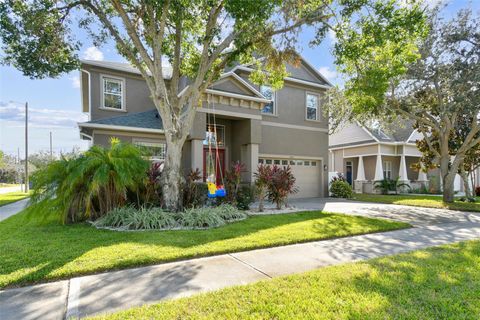 A home in TAMPA