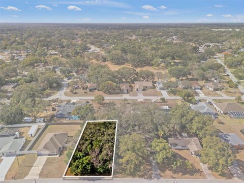 9028 HORIZON DRIVE SPRING HILL FL 34608