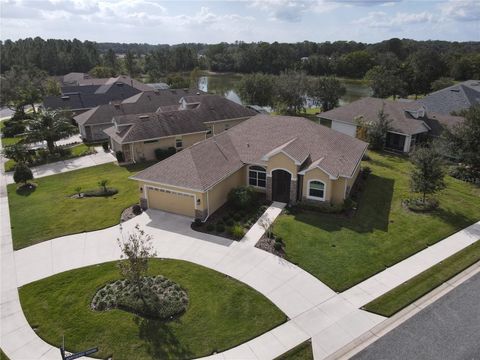 A home in MOUNT DORA