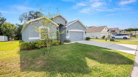 Single Family Residence in MULBERRY FL 233 ST THOMAS DRIVE 47.jpg