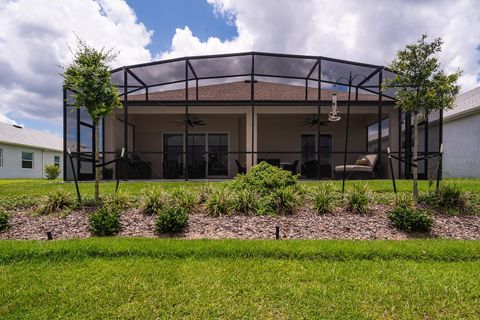 A home in MOUNT DORA