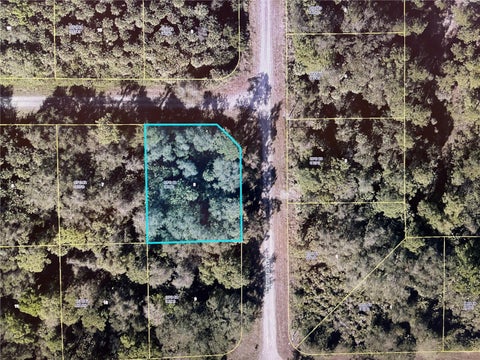 Photo of 1224 Rosita Street E, Lehigh Acres, FL 33974 (MLS # N6145654)