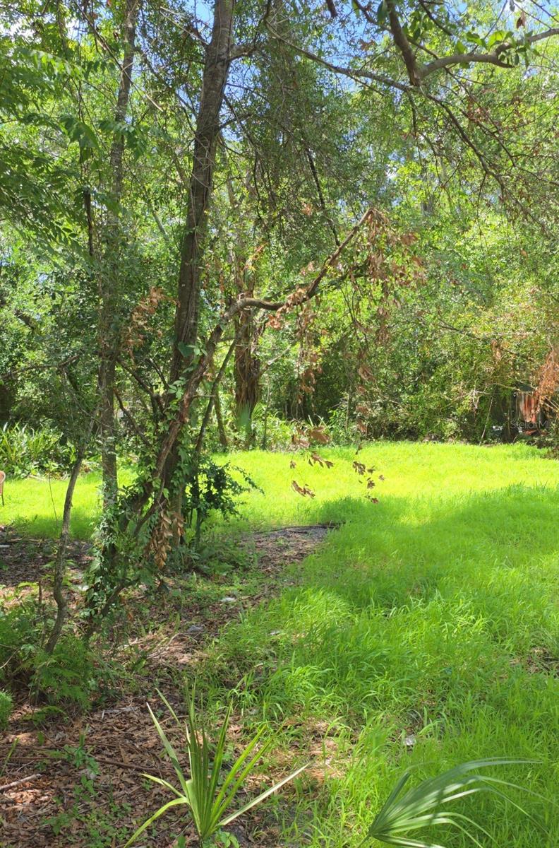 Photo of 2919 E 25th Avenue, Tampa, FL 33605 (MLS # TB8533091)