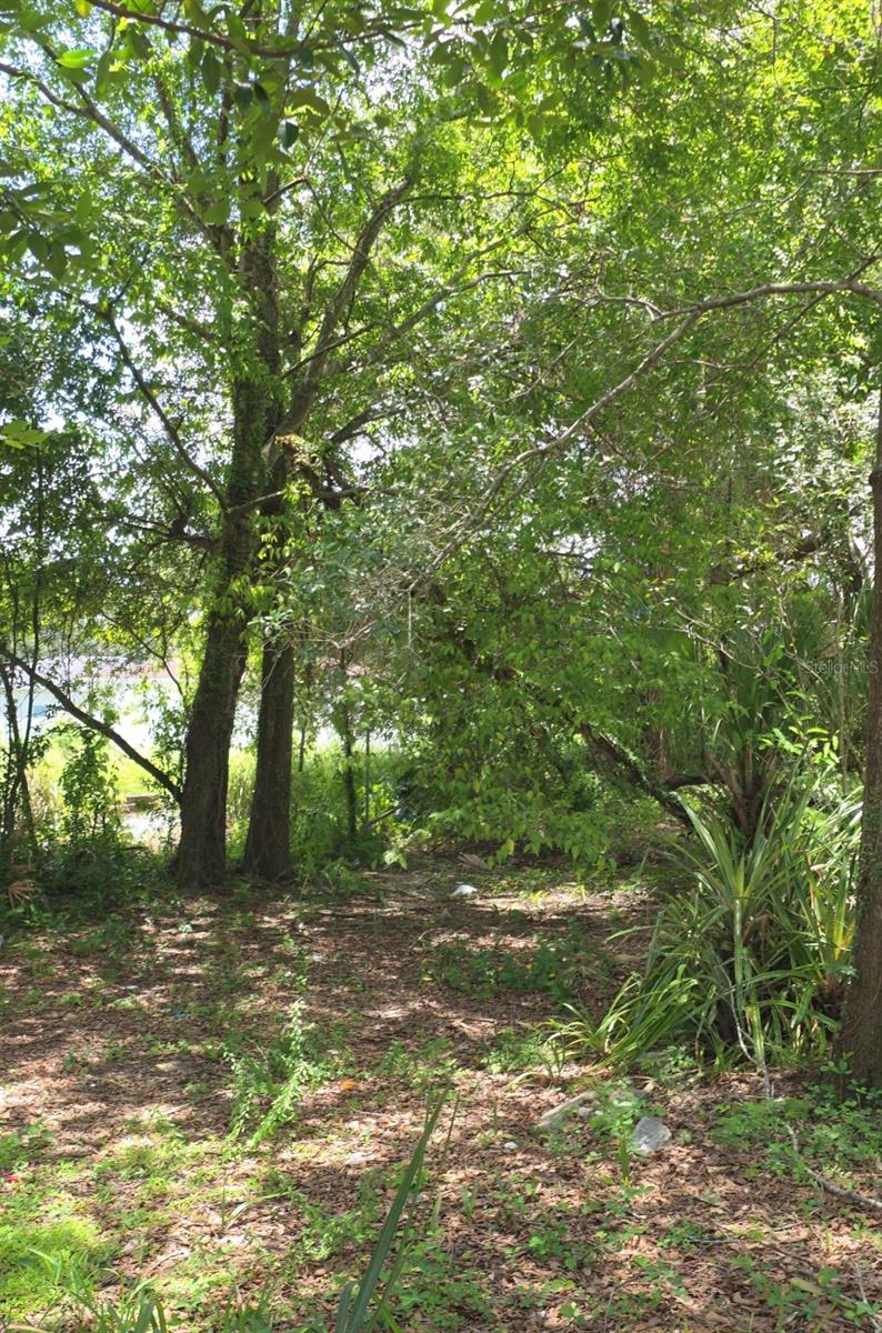 Photo of 2919 E 25th Avenue, Tampa, FL 33605 (MLS # TB8533091)