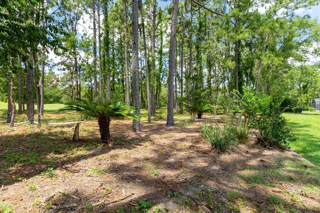 LAKE DIAMOND GOLF - Residential