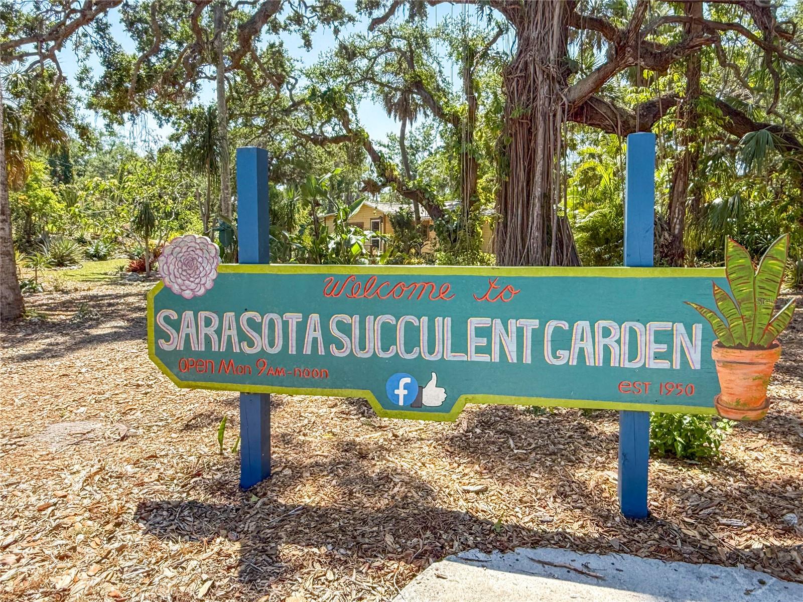 PALM GROVE - Residential