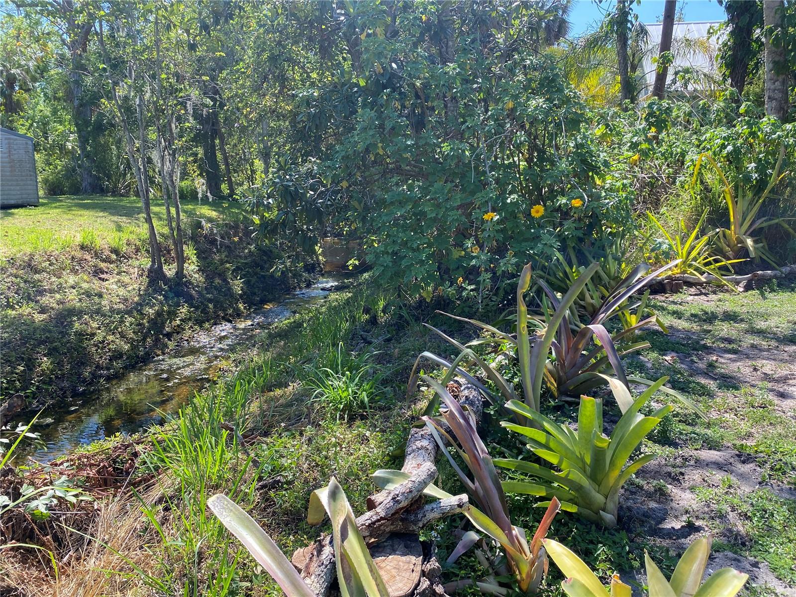 PALM GROVE - Residential