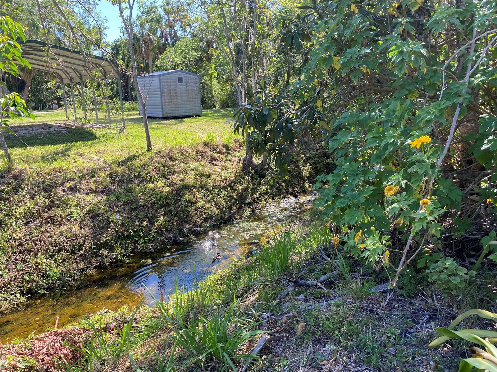 PALM GROVE - Residential