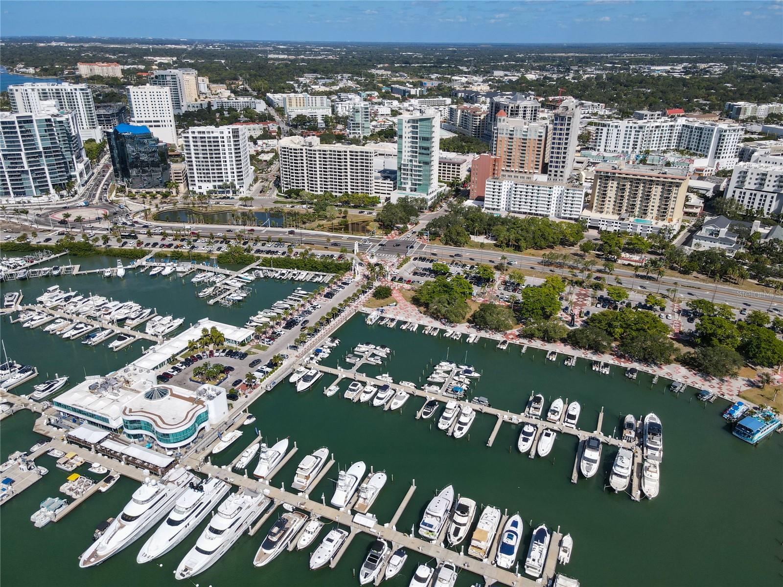 PALM GROVE - Residential