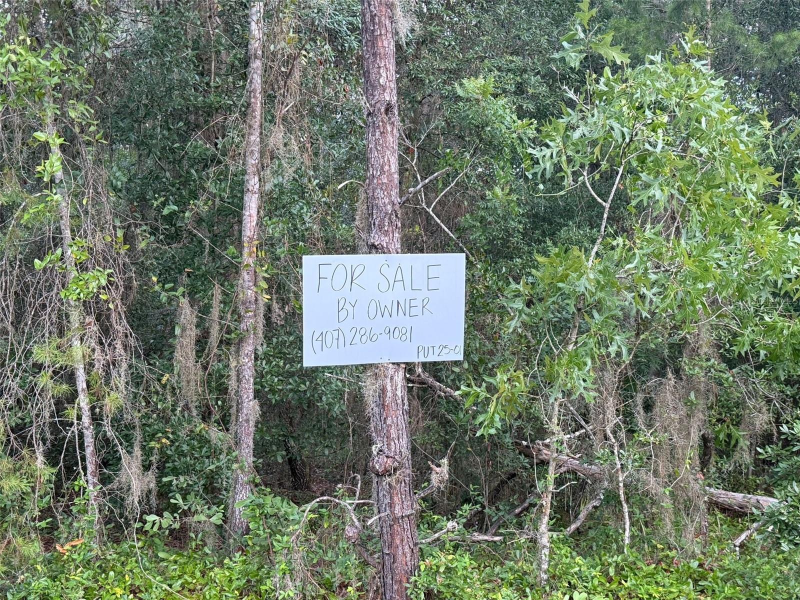 LAKESIDE HILLS - Land