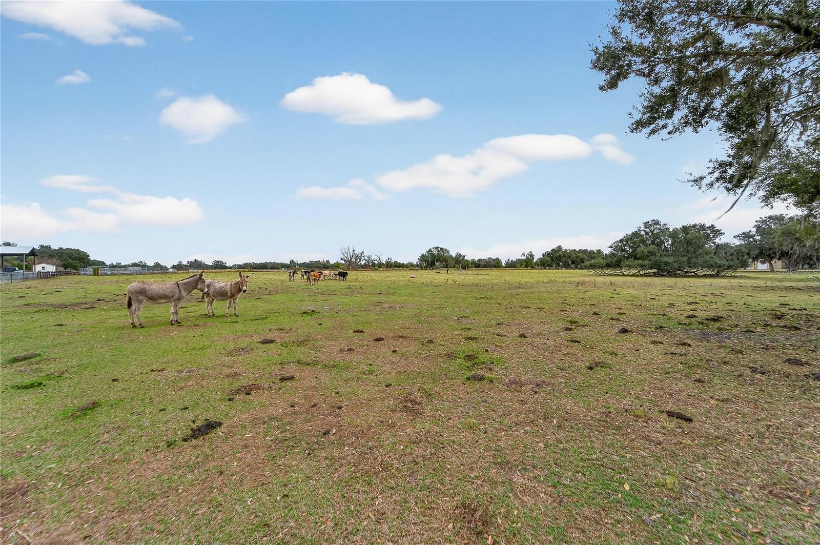 HORSESHOE HILLS ESTATES - Land