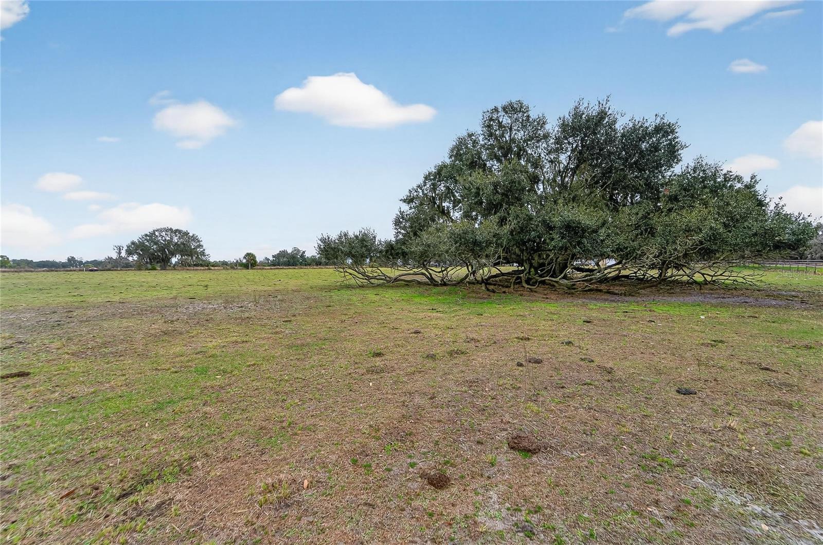 HORSESHOE HILLS ESTATES - Land