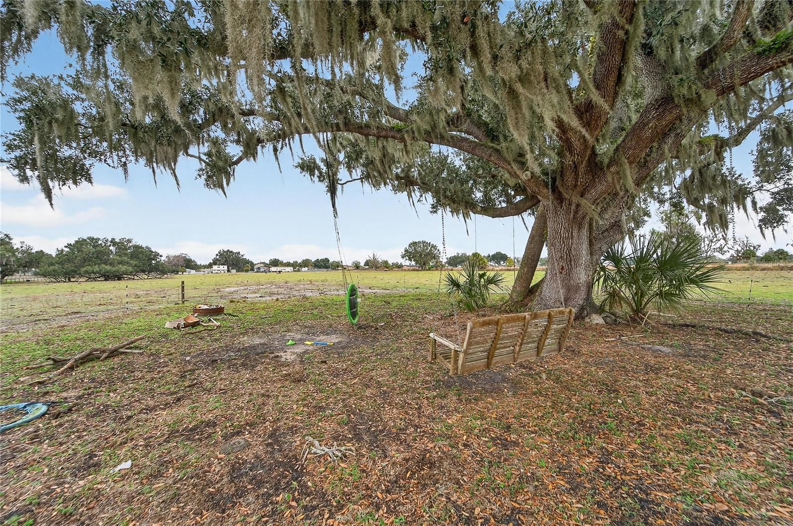 HORSESHOE HILLS ESTATES - Land