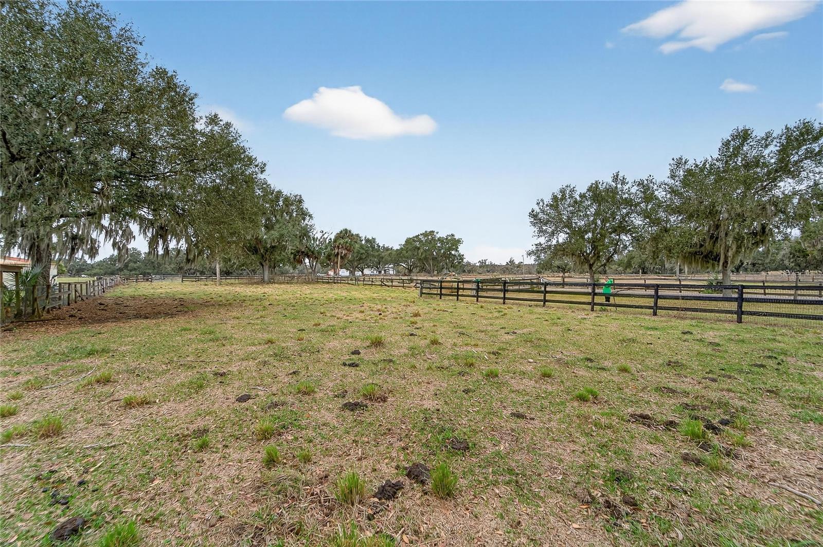 HORSESHOE HILLS ESTATES - Land