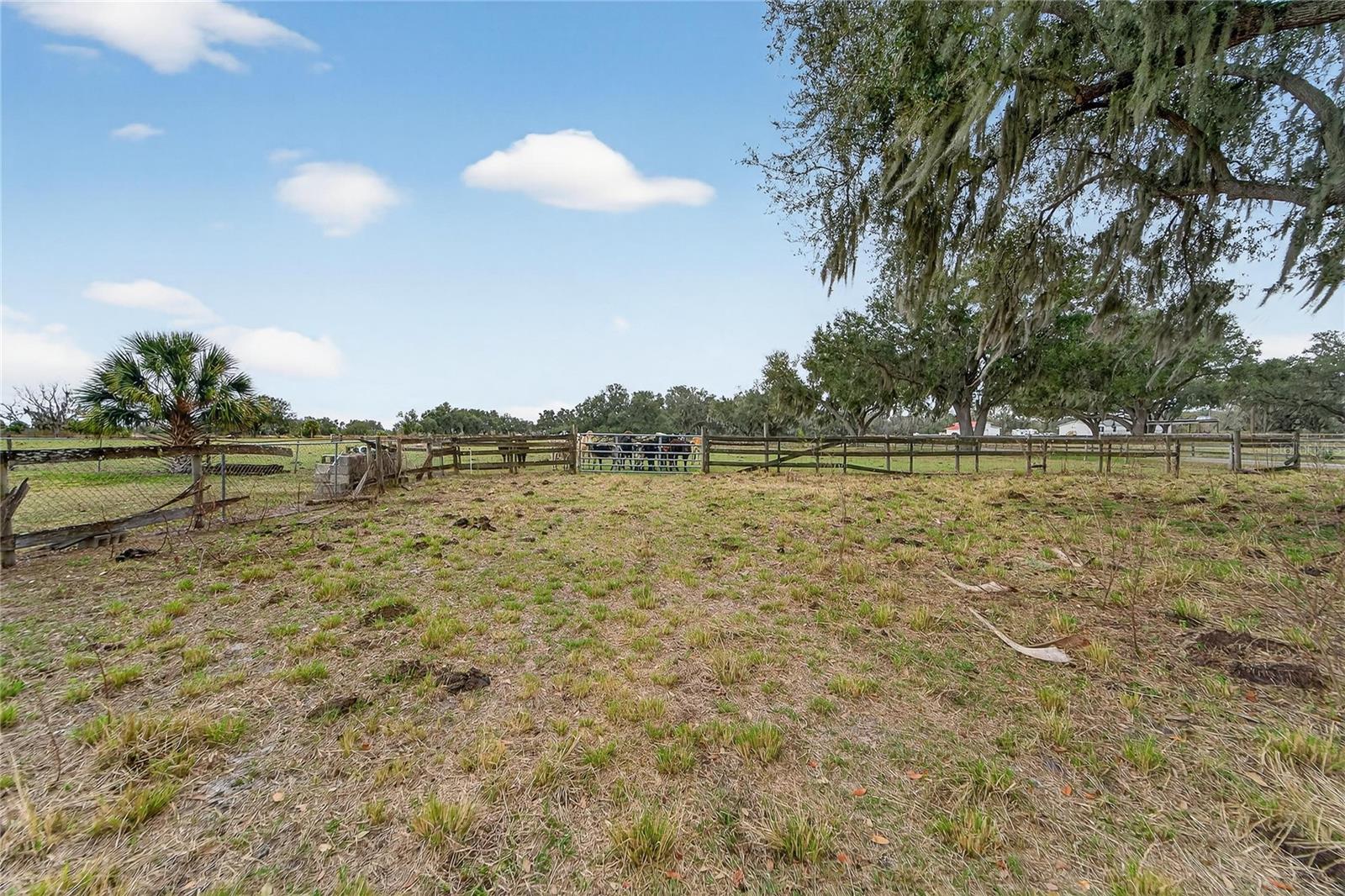 HORSESHOE HILLS ESTATES - Land