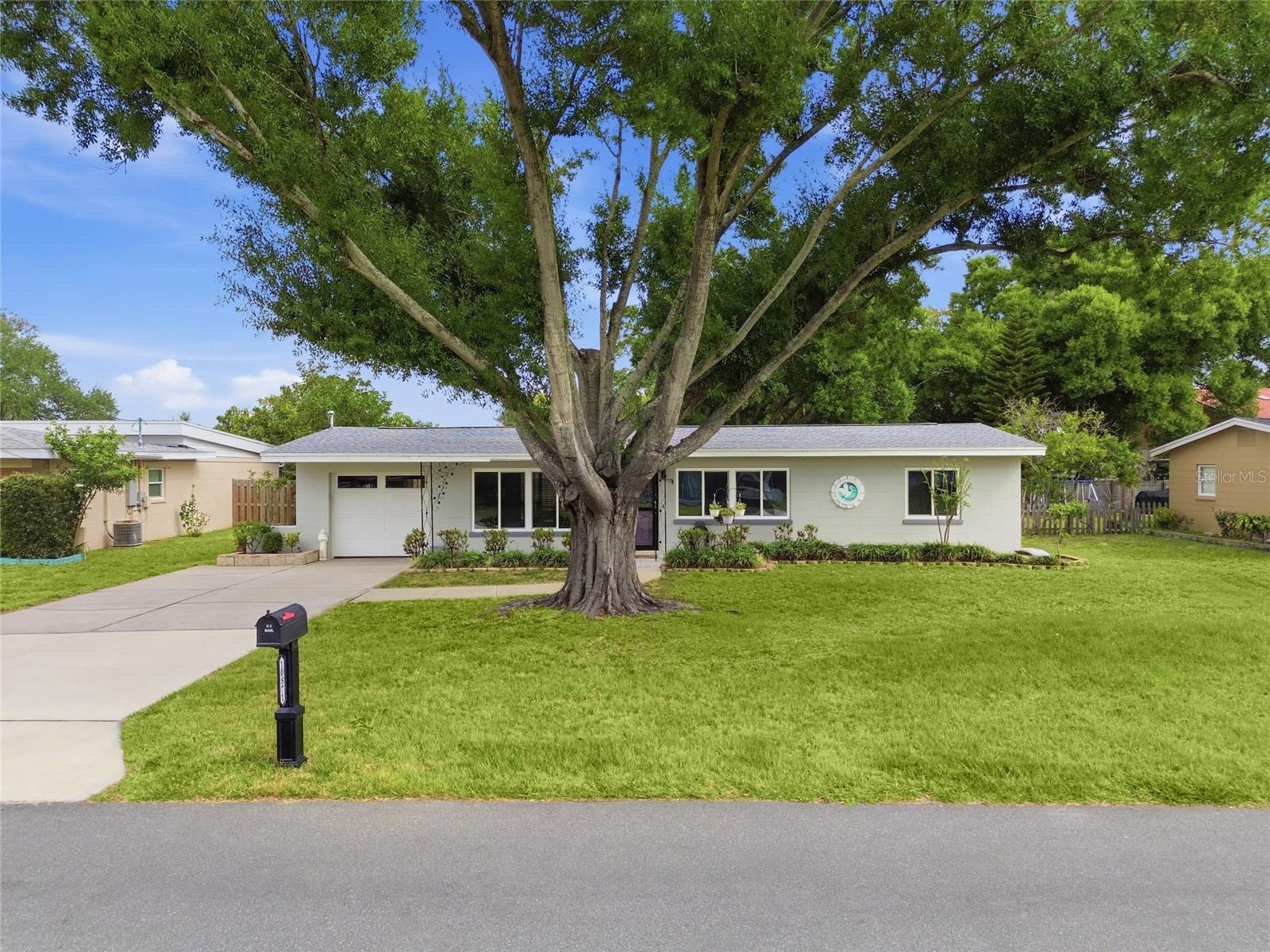 OAKDALE TERRACE REP - Residential