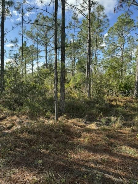 Photo of Tbd, Frostproof, FL 33843 (MLS # OM727335)