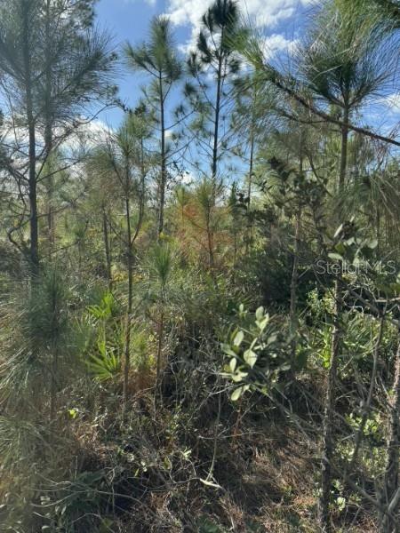 Photo of Tbd, Frostproof, FL 33843 (MLS # OM727335)