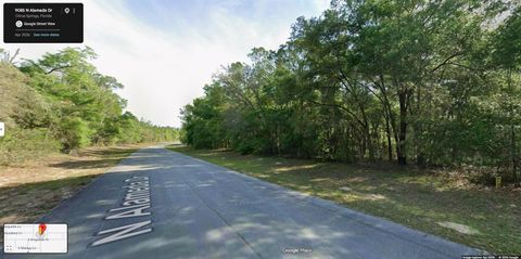 Photo of 9085 N Alameda Drive, Citrus Springs, FL 34434 (MLS # OM725350)