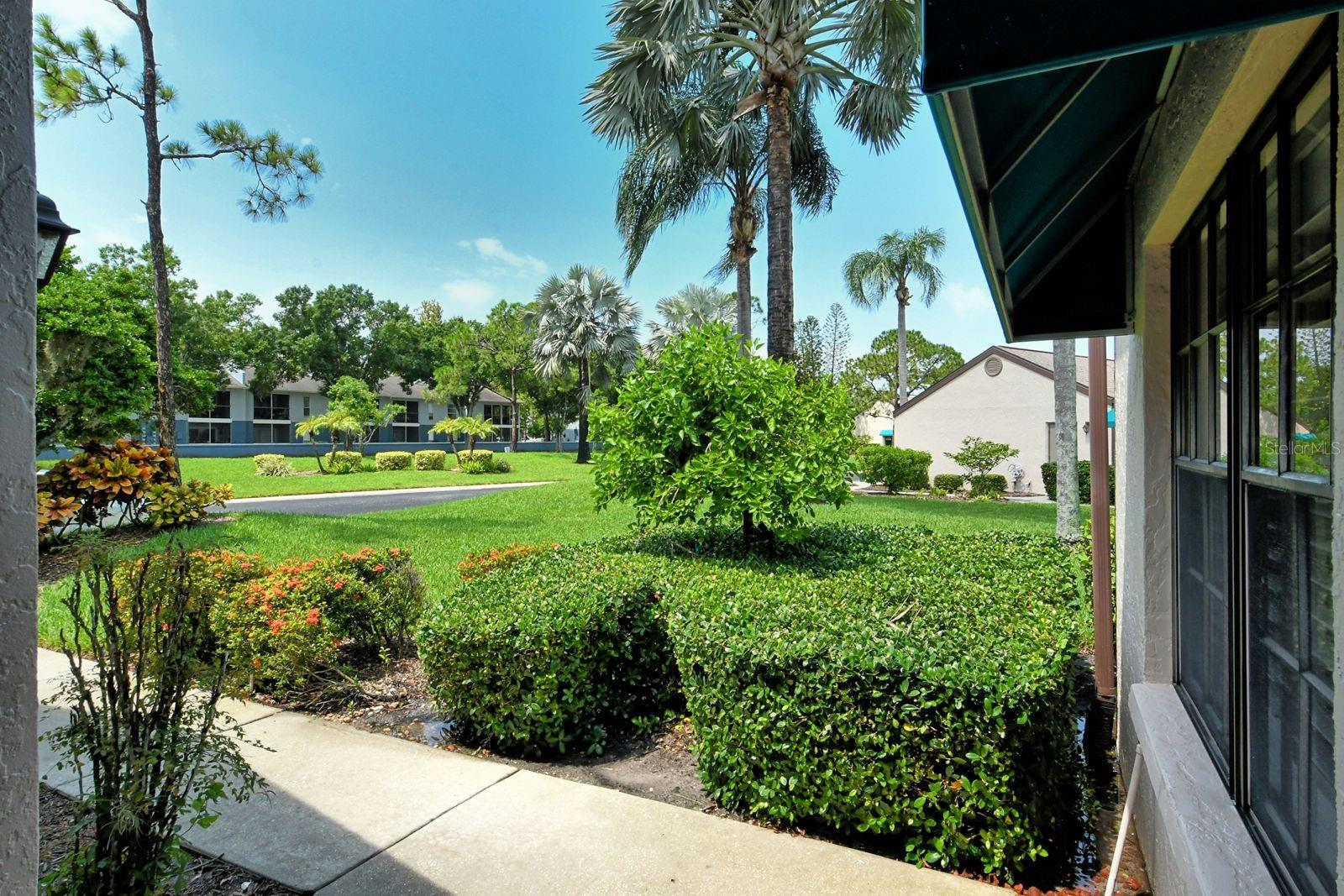 CLUBSIDE AT PALM-AIRE I & II - Residential Lease