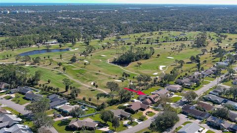 A home in NEW SMYRNA BEACH