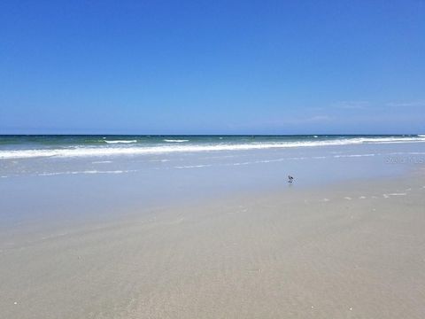 A home in NEW SMYRNA BEACH