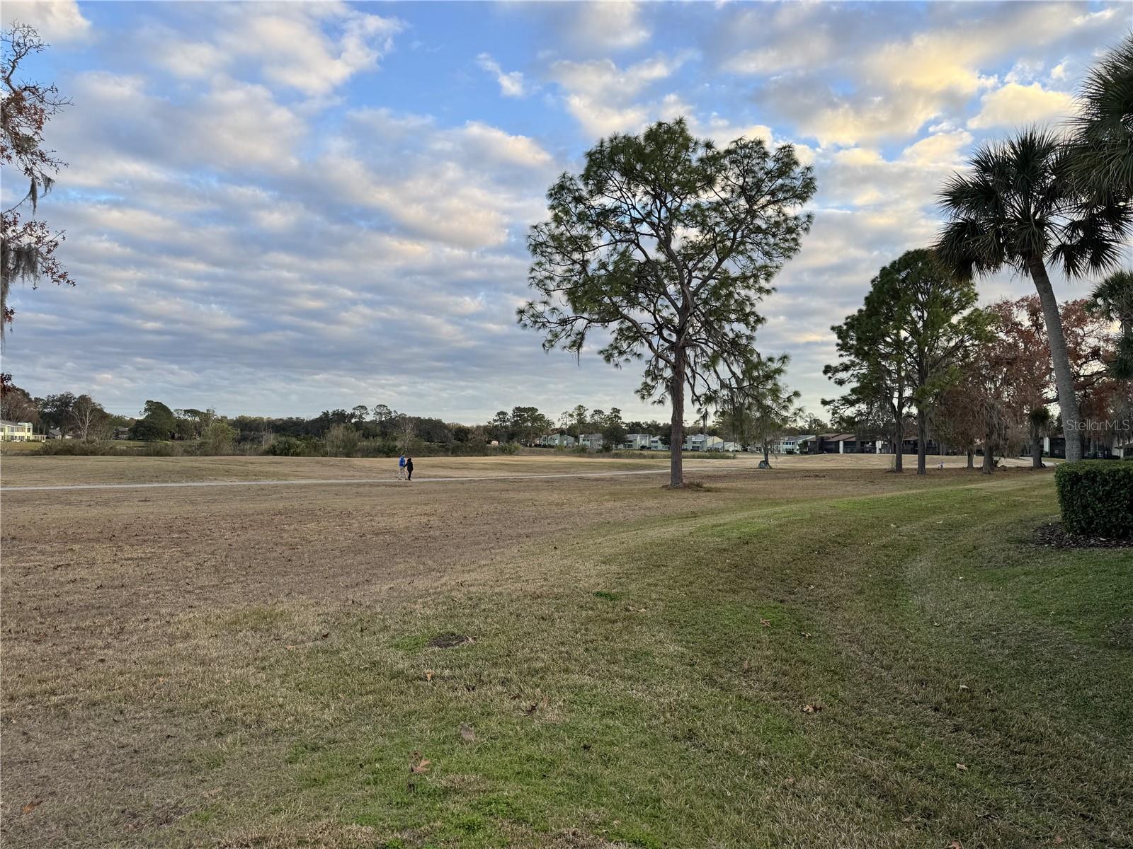C C VILLAGE SILVER SPRG SHR - Residential