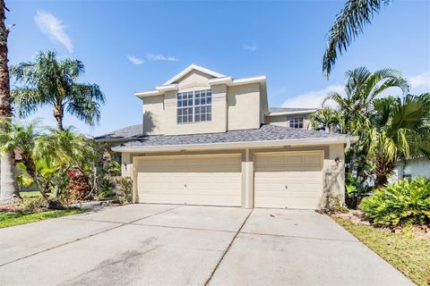 A home in LAND O LAKES