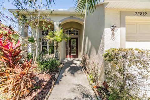 A home in LAND O LAKES