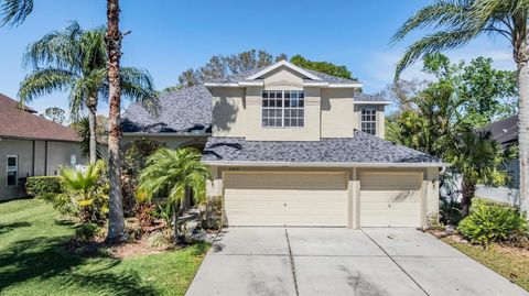 A home in LAND O LAKES