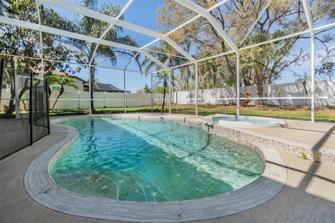 A home in LAND O LAKES