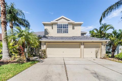 A home in LAND O LAKES