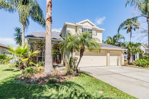 A home in LAND O LAKES