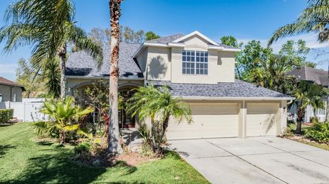 A home in LAND O LAKES