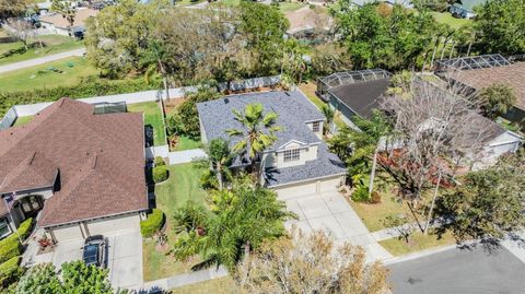 A home in LAND O LAKES