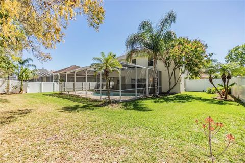 A home in LAND O LAKES