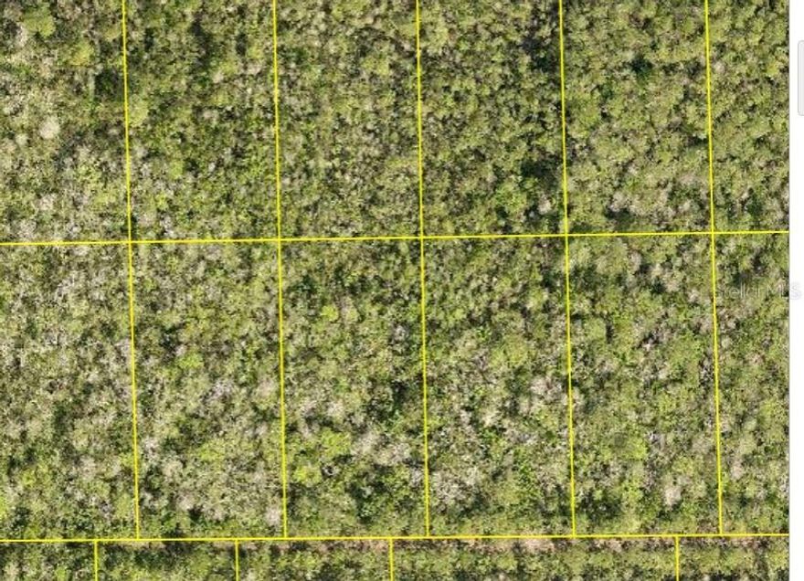 Discover the perfect opportunity to own 1.25 acres of vacant land in the peaceful and growing area of DeLand, FL. This unimproved parcel offers a blank canvas for your vision—whether you’re looking to build your dream home, invest for the future, or create a private retreat.    This property provides a quiet, rural charm with plenty of space to design and develop. You’ll enjoy the flexibility to bring your ideas to life in a serene setting surrounded by nature. This property size and location makes it an ideal choice for homeowners and investors alike. Don’t miss your chance to secure a piece of land in a steadily developing area with endless potential!  
Buyers are encouraged to consult environmental and building regulations to explore the full potential of this unique proprety.