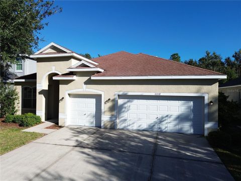 16318 BRIDGELAWN AVENUE LITHIA FL 33547