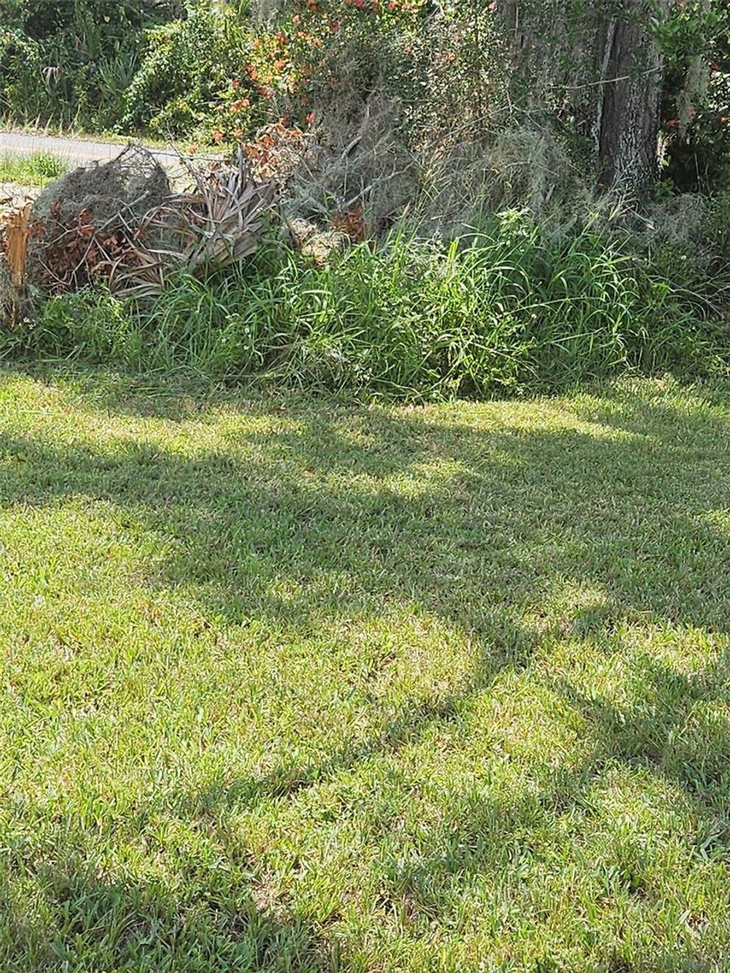 Photo of 1415 Historic Goldsboro Boulevard, Sanford, FL 32771 (MLS # O6386575)