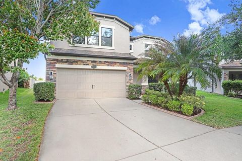 11719 ALBATROSS LANE RIVERVIEW FL 33569