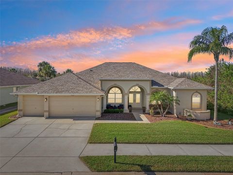 A home in LAND O LAKES