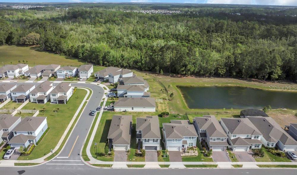 17398 SAW PALMETTO AVE