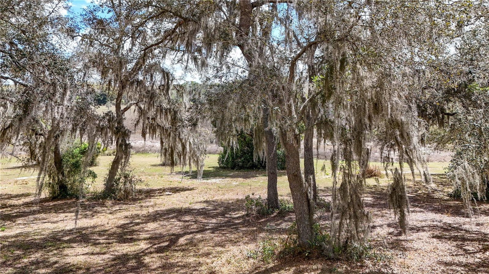 FOX HOLLOW SUB - Land