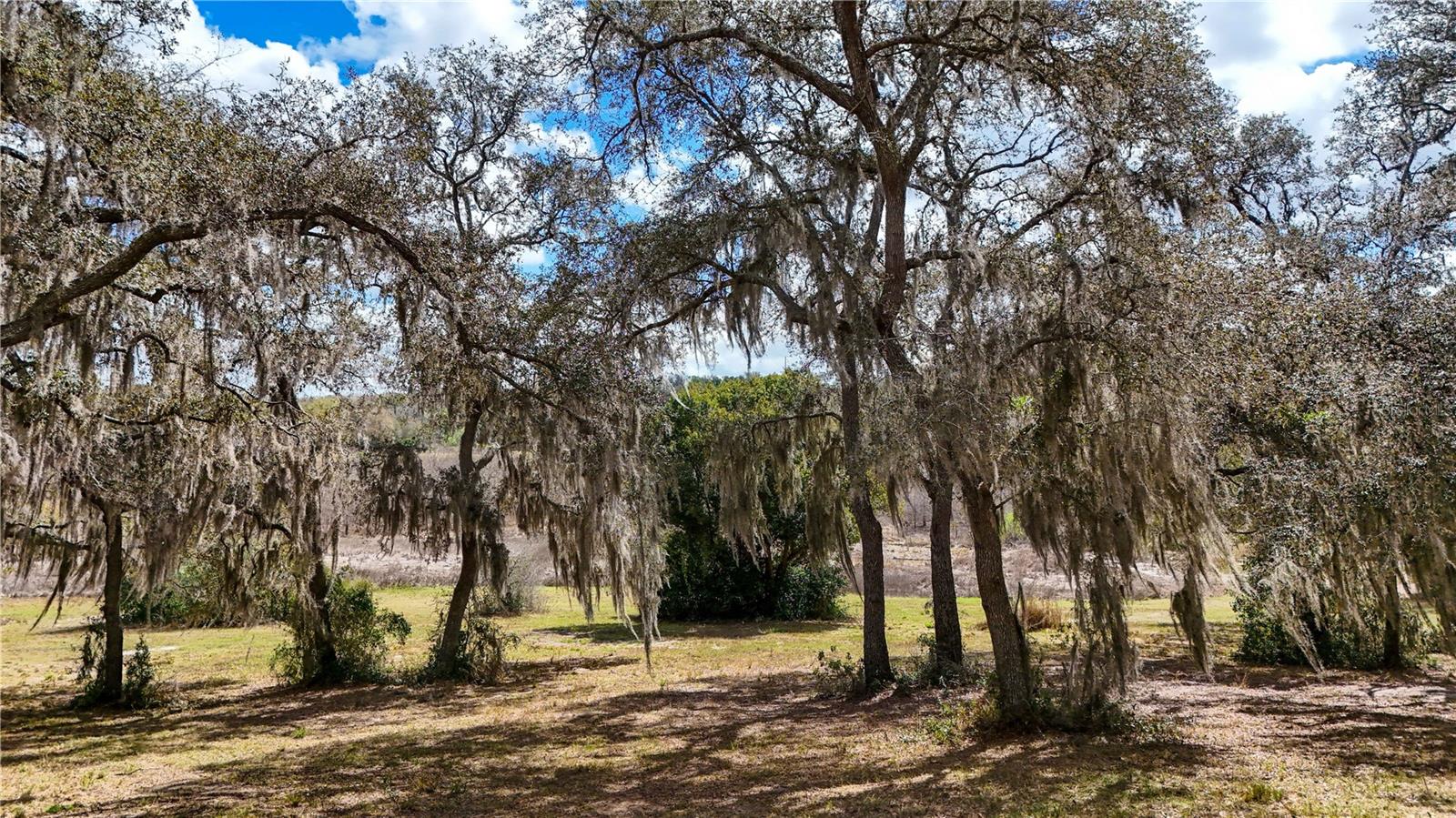 FOX HOLLOW SUB - Land