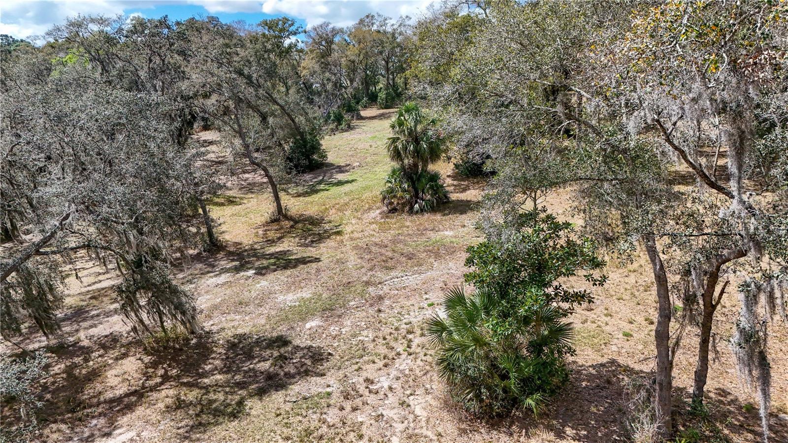 FOX HOLLOW SUB - Land